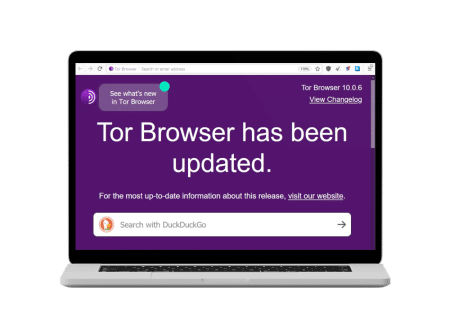 is using tor browser safe mega2web